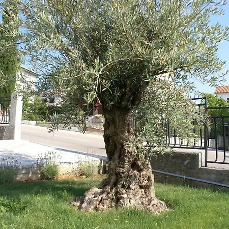 Daire In Krk Insel Krk 12696